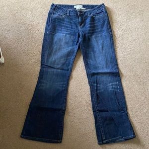 Maurices Blue Jean - Boot cut